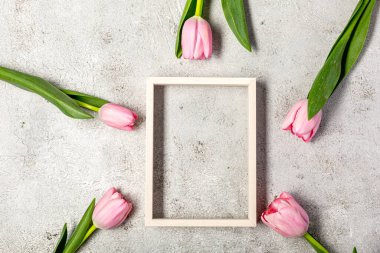 Nihai gri duvarda taze pembe lale çiçekleri