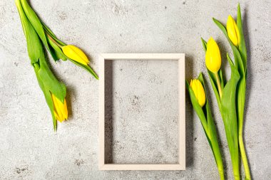 Nihai gri duvarda taze sarı lale çiçekleri