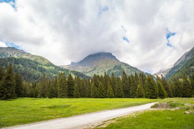 Yazın yeşil dağ zirveleri olan doğal manzara