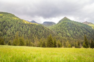 Yazın yeşil dağ zirveleri olan doğal manzara
