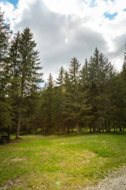 Yazın yeşil dağ zirveleri olan doğal manzara