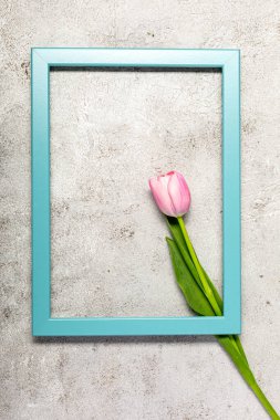 Nihai gri duvarda taze pembe lale çiçekleri