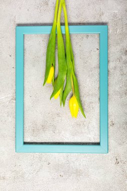 Nihai gri duvarda taze sarı lale çiçekleri