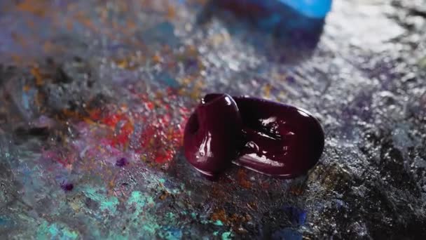 Peintures Huile Multicolores Sur Une Palette Artistique — Video