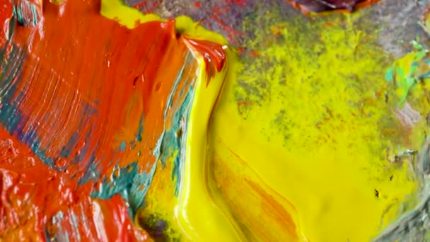 Multi Colored Oil Paints Artistic Palette — Stock Video