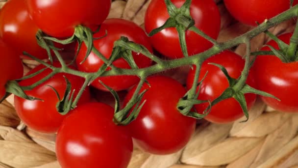 Stillleben mit Kürbis, Kirschtomaten, roten Zwiebeln und grünen Zwiebeln — Stockvideo