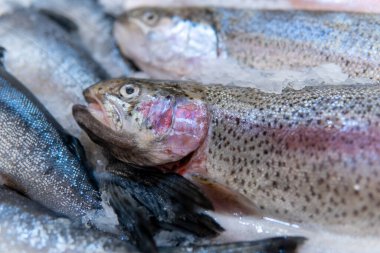 Süpermarkette buzda taze balık var.