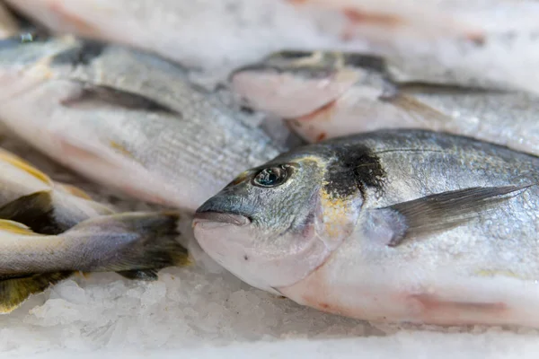 Peixes Frescos Gelo Balcão Supermercado — Fotografia de Stock