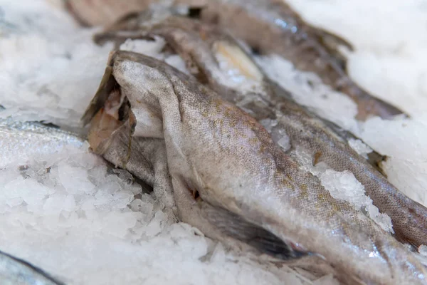 Свежая Рыба Льду Стойке Супермаркете — стоковое фото