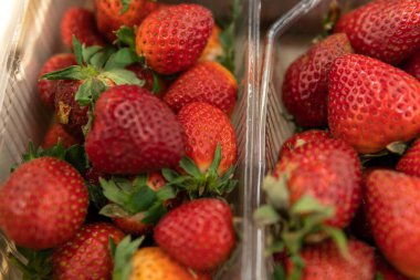 Süpermarkette tezgahın üzerinde taze çilekler var..