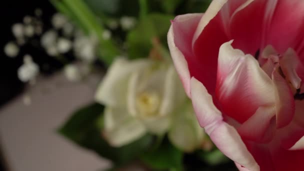 Boeket bloemen op een zwarte achtergrond. Rode en witte tulpen en witte rozen. — Stockvideo