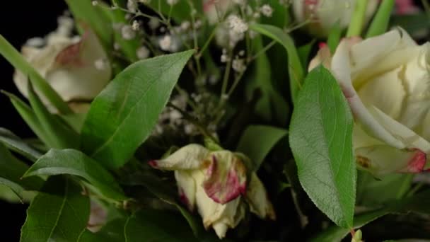 Kytice květin na černém pozadí. Červené a bílé tulipány a bílé růže. — Stock video