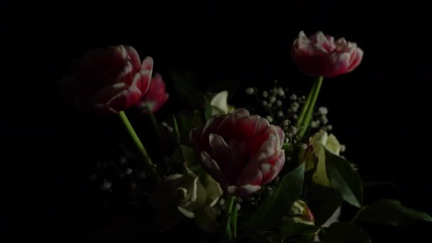 Buquê de flores em um fundo preto. Tulipas vermelhas e brancas e rosas brancas. — Vídeo de Stock