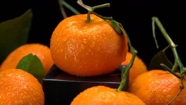Tangerines dengan daun close-up pada latar belakang hitam. — Stok Video