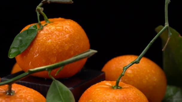 Tangerines with leaves close-up on a black background. — Stock Video