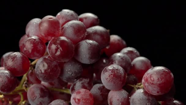 Red ripe grapes on a black background. — Stock Video