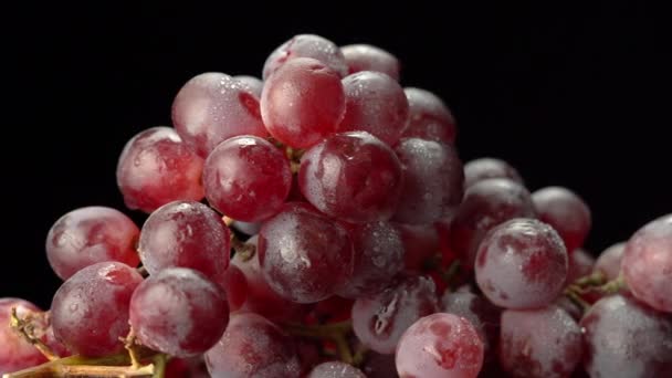 Uvas rojas maduras sobre fondo negro. — Vídeo de stock