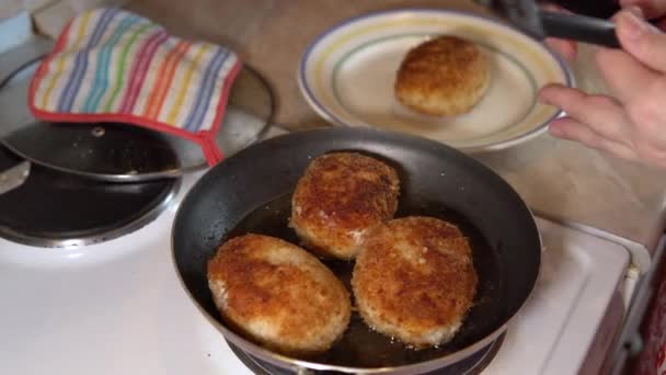 Chuletas de carne de pavo se preparan en la cocina casera — Vídeos de Stock