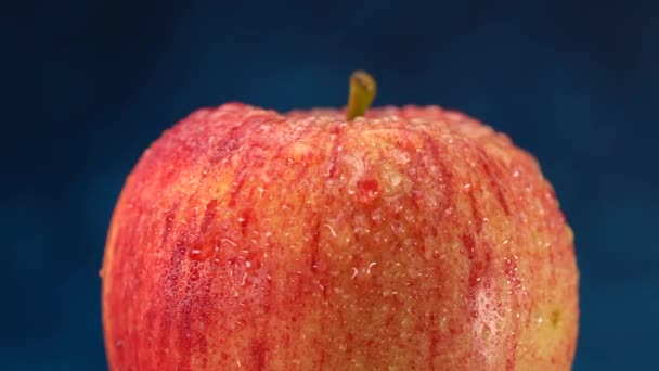 Close-up of a red-green apple with water droplets macro shot. — Stock Video