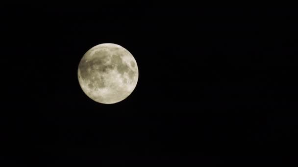 Volle maan met bewegende wolken in de donkere hemel 's nachts. — Stockvideo