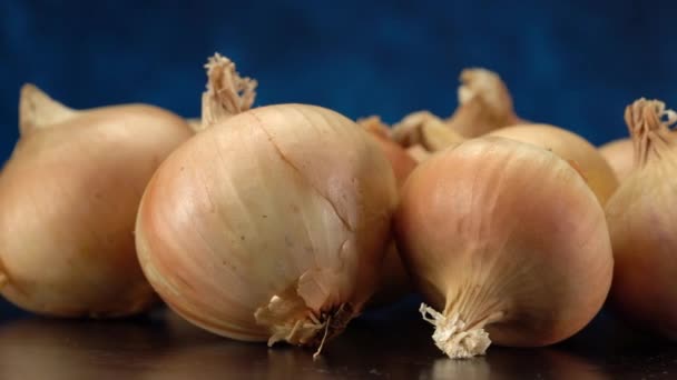 Video close-up van witte uienbollen, op een donkere achtergrond. — Stockvideo