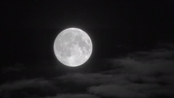 Volle maan met bewegende wolken in de donkere hemel 's nachts. — Stockvideo