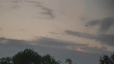 Akşam gökyüzünde hızlı hareket eden bulutlar. Zaman Uygulaması