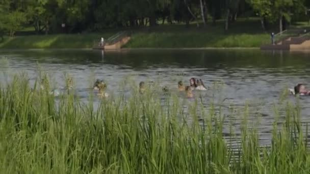 Moskau, Russland - 21. Juni 2021: Menschen sonnen sich am Strand — Stockvideo