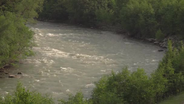 Ein Fluss mit schnellem Wasserfluss im Wald. — Stockvideo