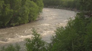 Ormanda hızlı akan bir su nehri..