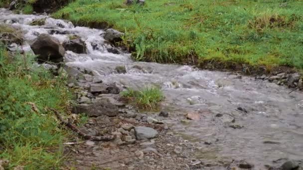 Un pequeño arroyo forestal con agua que fluye rápidamente sobre las piedras — Vídeos de Stock
