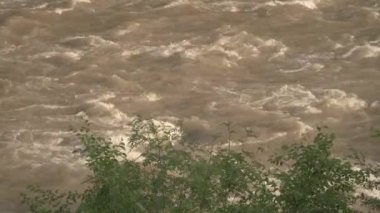 Ormanda hızlı akan bir su nehri..