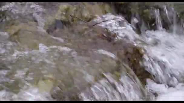 Ein kleiner Waldbach, dessen Wasser schnell über die Steine fließt — Stockvideo