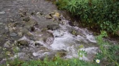 Taşların üzerinden akan suyla küçük bir orman deresi.