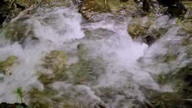 Taşların üzerinden akan suyla küçük bir orman deresi.