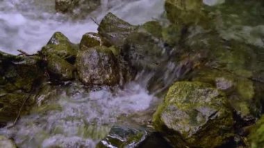 Taşların üzerinden akan suyla küçük bir orman deresi.