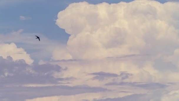 Movimiento acelerado de nubes en el cielo. Cronograma. — Vídeos de Stock