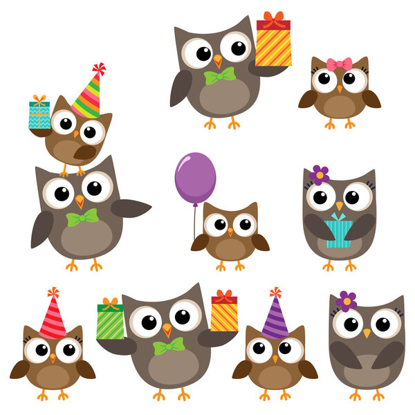 Birthday party elements with owls