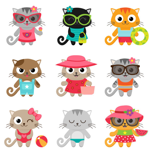 Милые маленькие кошки
