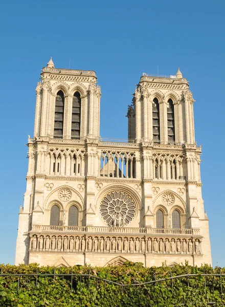 Notre Dame Párizsban — Stock Fotó