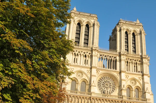 Notre Dame en París —  Fotos de Stock