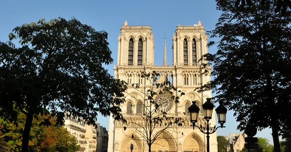 Notre Dame in Paris — Stock Photo, Image