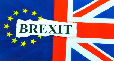 Brexit İngiltere'de AB referandum