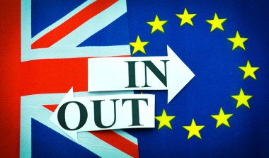 Brexit İngiltere'de AB referandum