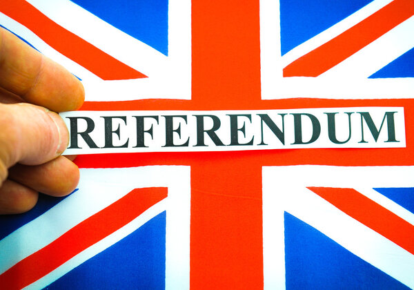 Референдум в Великобритании по Брекситу
