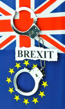 Brexit referandum kavramı 