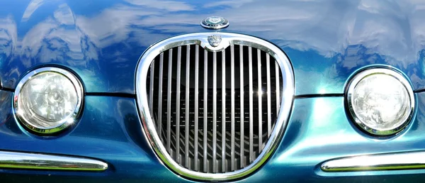 Jaguar — Stock Photo, Image