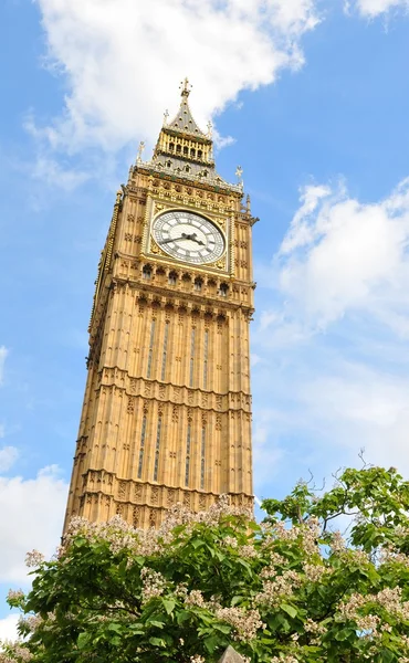 在伦敦，英国大笨钟 — 图库照片