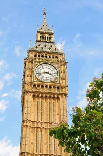 Big Ben — Stock Photo, Image