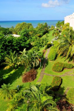 Exotic garden